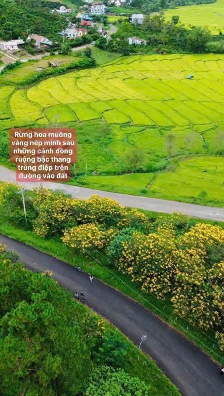 Bán đất nền biệt thự 320m² Di Linh, Lâm Đồng - Ảnh thu nhỏ 4