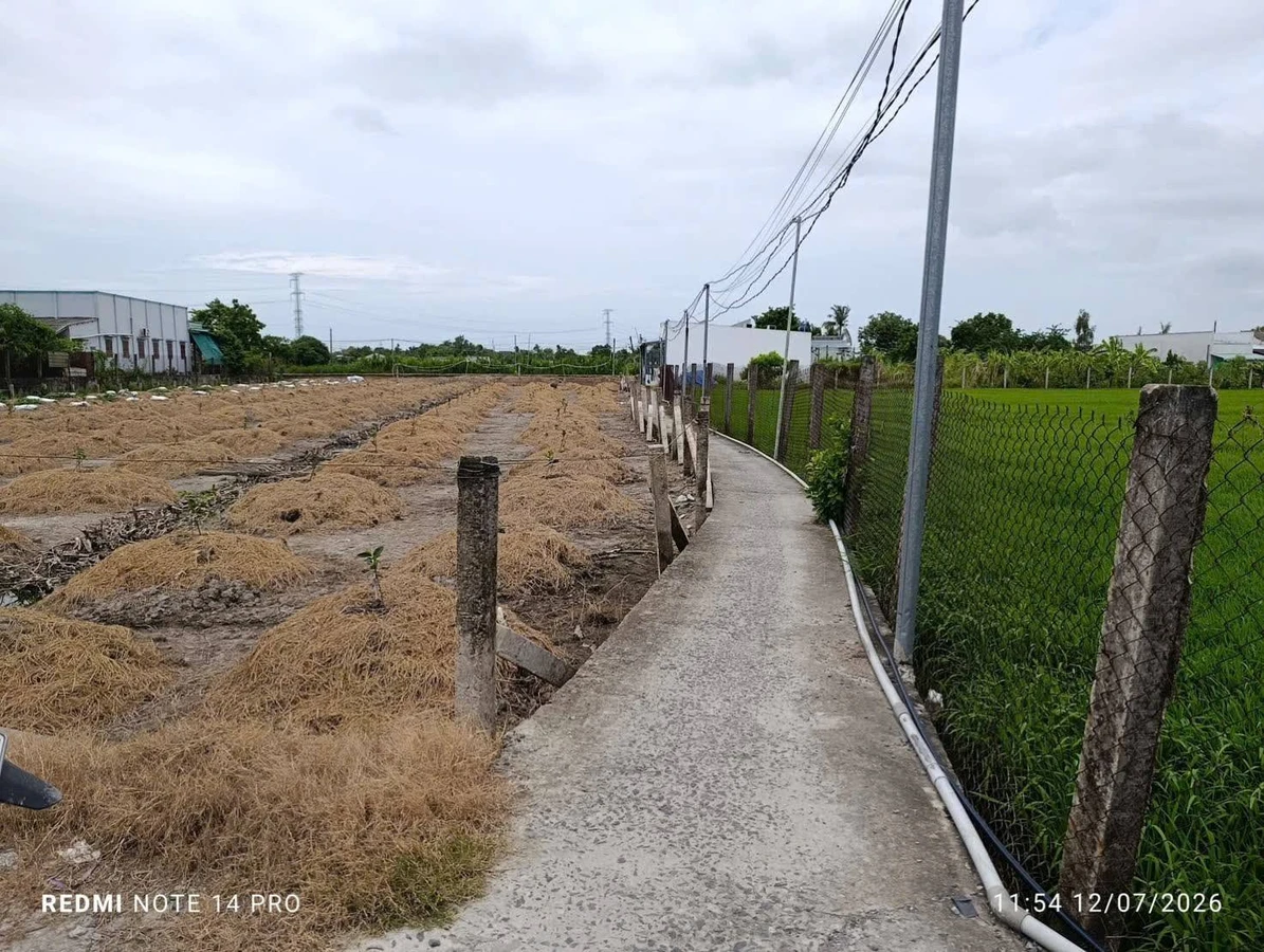 Bán đất cây hàng năm 3600m² Thạnh Đức, Bến Lức 2 tỷ - Ảnh thu nhỏ 5