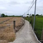 Bán đất cây hàng năm 3600m² Thạnh Đức, Bến Lức 2 tỷ - Ảnh thu nhỏ 5