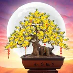 Bán 3.208m đất TMDV trung tâm Ninh Hòa vị trí đẹp, giá 6,5 triệu/m - Ảnh thu nhỏ 29