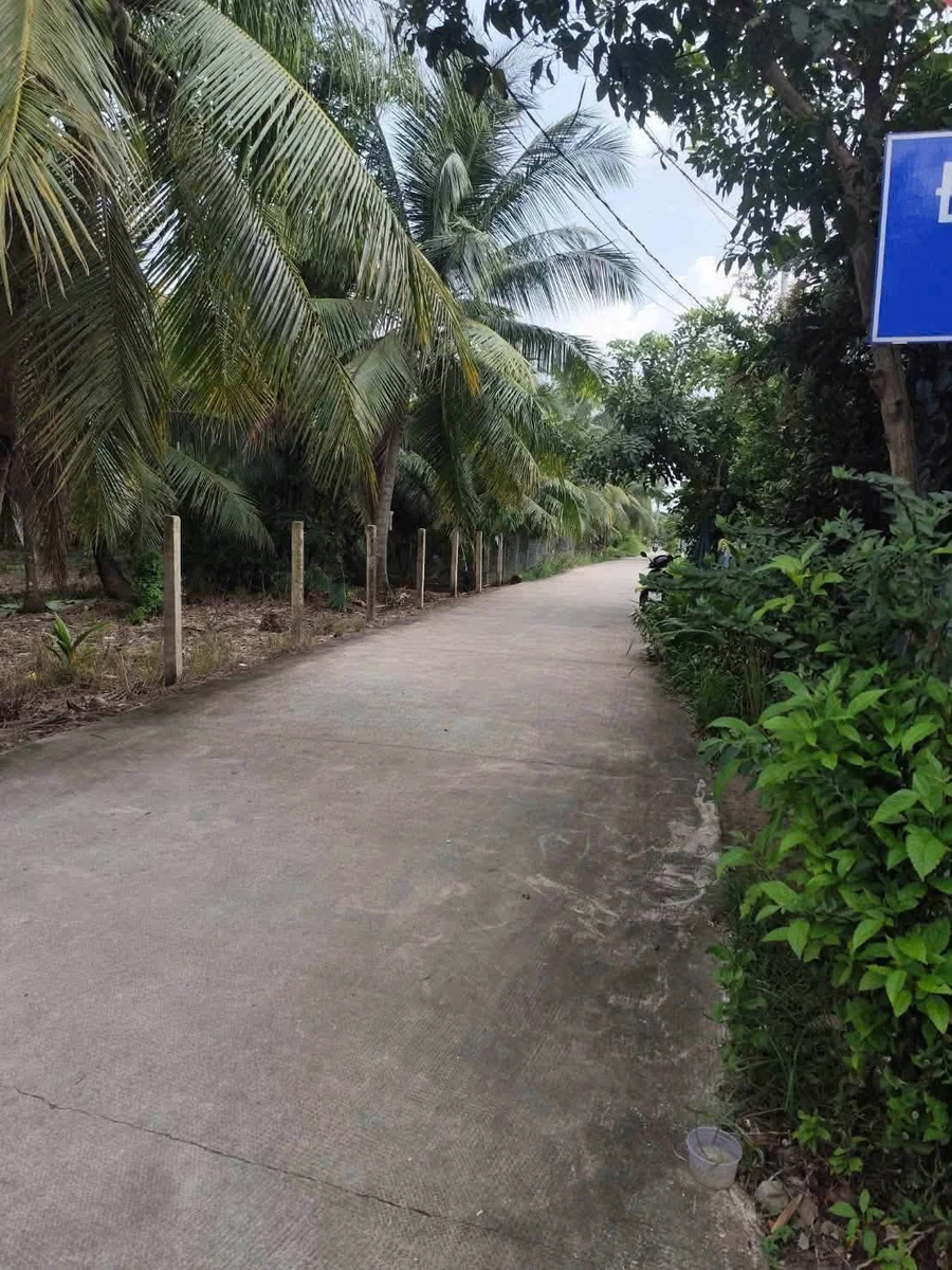 Bán đất thổ cư 6x27m giá 550 triệu gần Khu công nghiệp Giao Long - Ảnh thu nhỏ 3