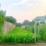 Bán đất 190m² an cư lập nghiệp Bình Dương - Ảnh thu nhỏ 1