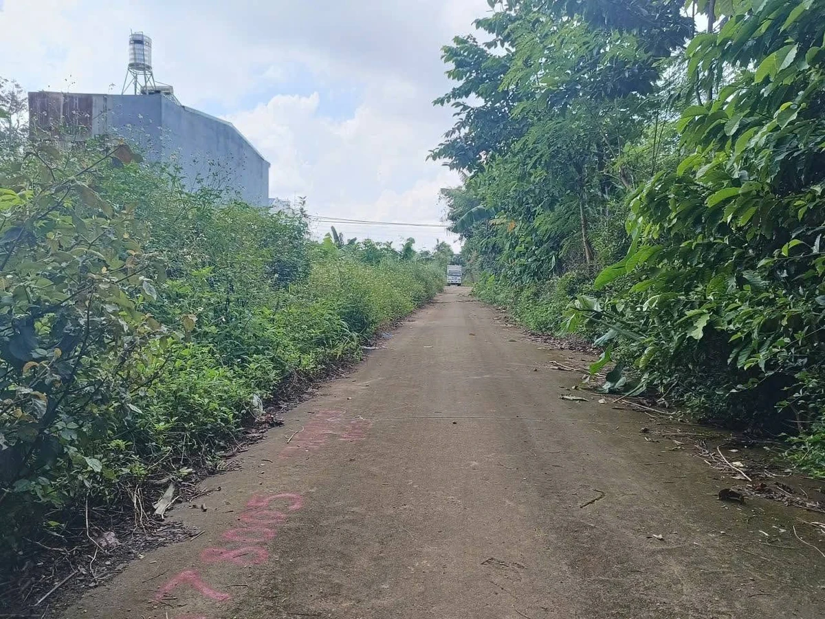 Bán đất Nhà Bè km10 Ea Tu 200m2 giá 1,15 tỷ - Ảnh thu nhỏ 2
