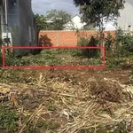 Bán đất Bình Tân 75m² giá 1 tỷ 750 triệu - Ảnh thu nhỏ 3