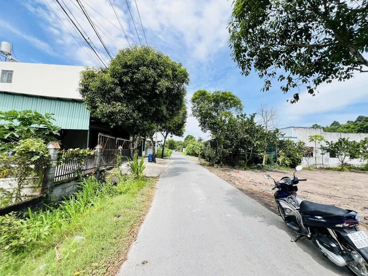 Bán đất thổ cư 8x40 nở hậu mặt tiền đường nhựa 218, Tân Thông Hội, Củ Chi - Ảnh thu nhỏ 2