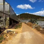 Bán lô đất 800m2 mặt tiền Đà Lạt 3 tỷ 6 - Ảnh thu nhỏ 5