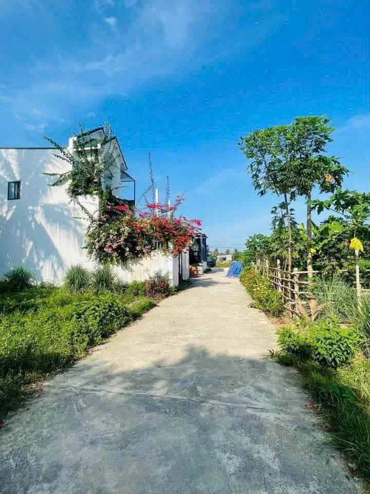Bán lô đất Diên Lạc 70m2, gần Tỉnh Lộ 2 - Ảnh thu nhỏ 4