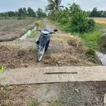 Bán 1200m2 đất vườn ấp 3 Tân Thành, Thủ Thừa, Long An giá 550 triệu - Ảnh thu nhỏ 4