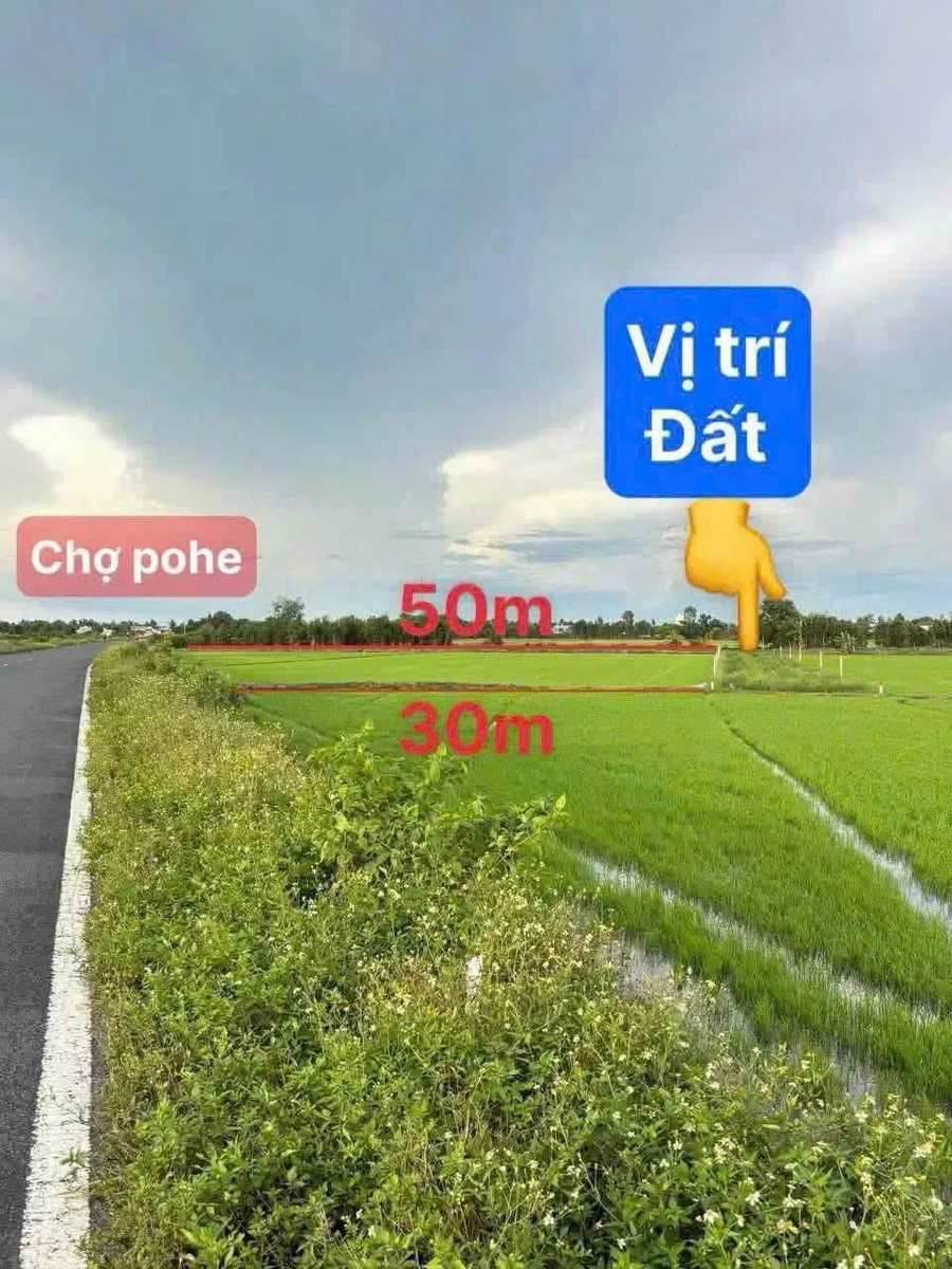 Bán 1 công đất Châu Thành Cần Thơ 390 triệu - Ảnh thu nhỏ 3