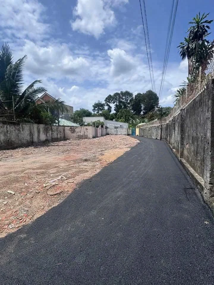 Bán 4 lô đất thổ cư sổ riêng Cù Lao Hiệp Hòa, Đồng Nai - Ảnh thu nhỏ 2