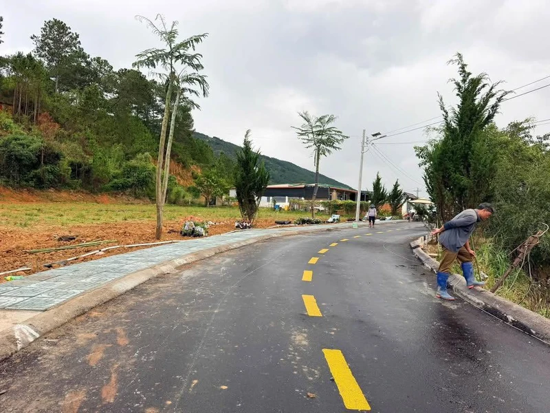 Bán đất nền 100m2 Định An Lâm Đồng 1 tỷ 330 triệu