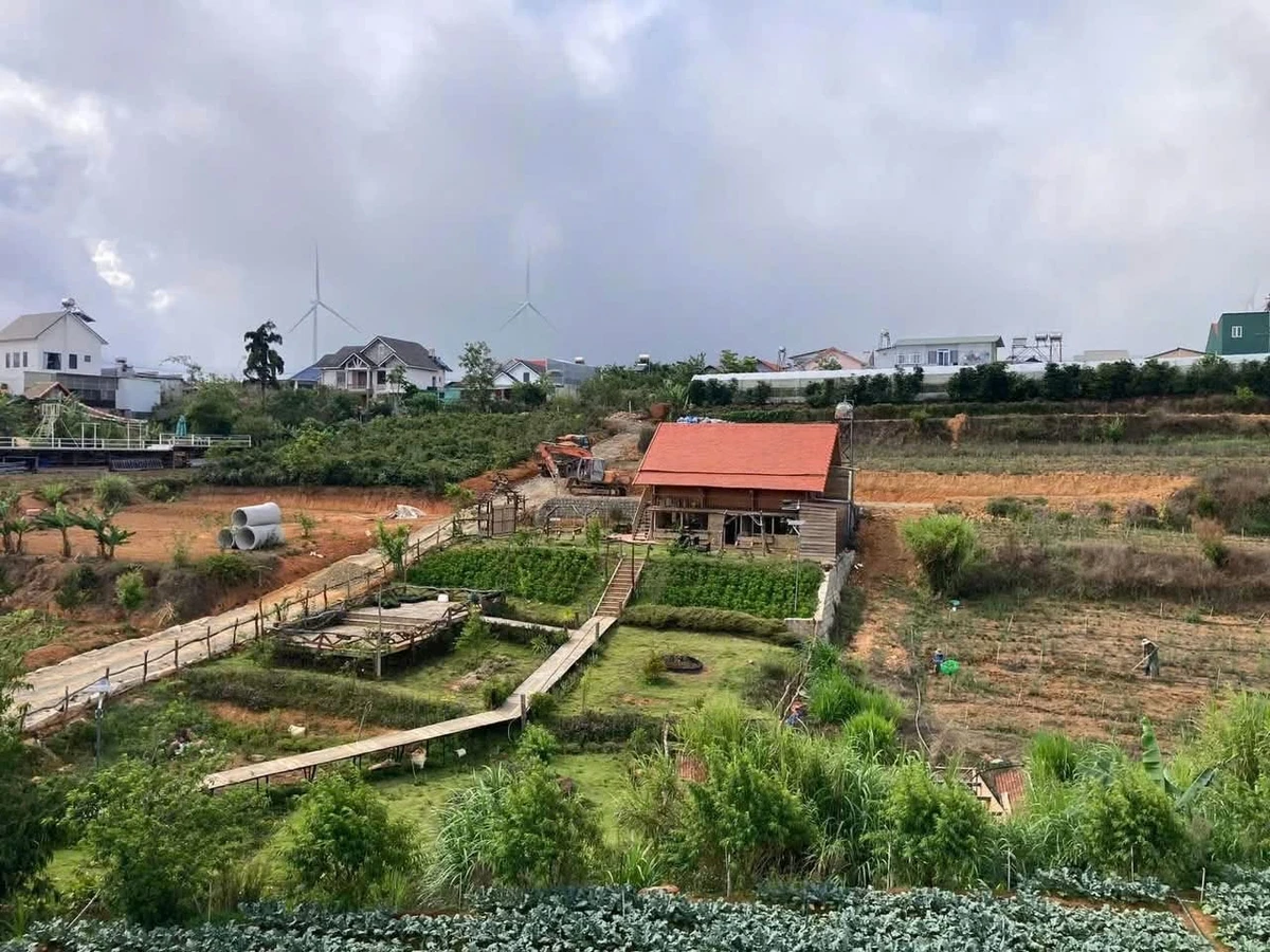 Bán biệt thự Đà Lạt 8000m2 giá 3 triệu/m2 - Ảnh thu nhỏ 5