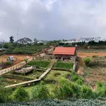 Bán biệt thự Đà Lạt 8000m2 giá 3 triệu/m2 - Ảnh thu nhỏ 5