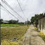 Bán đất nền 140m² xã Bình Thạnh, Thủ Thừa - Ảnh thu nhỏ 2