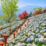 Bán nhà mặt tiền 2 tầng 104m2, 3 phòng ngủ Quy Nhơn - Ảnh thu nhỏ 1