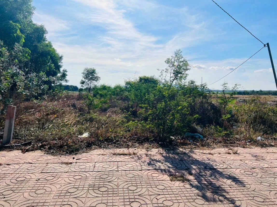 Bán đất mặt tiền Võ Thị Sáu Đất Đỏ 345m2 - Ảnh thu nhỏ 4