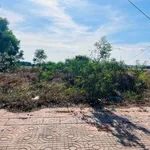 Bán đất mặt tiền Võ Thị Sáu Đất Đỏ 345m2 - Ảnh thu nhỏ 4