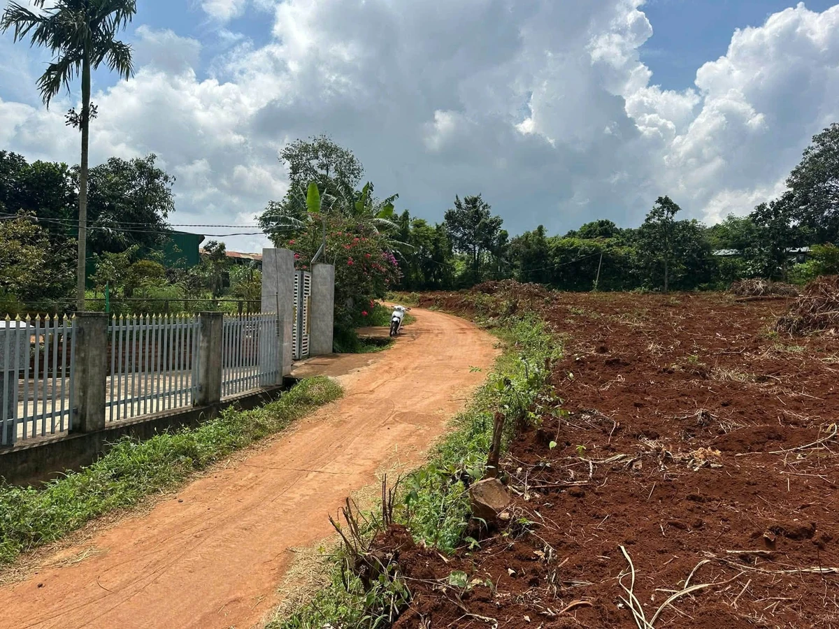Bán lô đất nền 165m² giá 265 triệu Bình Chánh - Ảnh thu nhỏ 2
