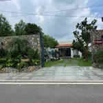 Bán nhà vườn 465m² view lúa Đất Đỏ 4,35 tỷ - Ảnh thu nhỏ 3