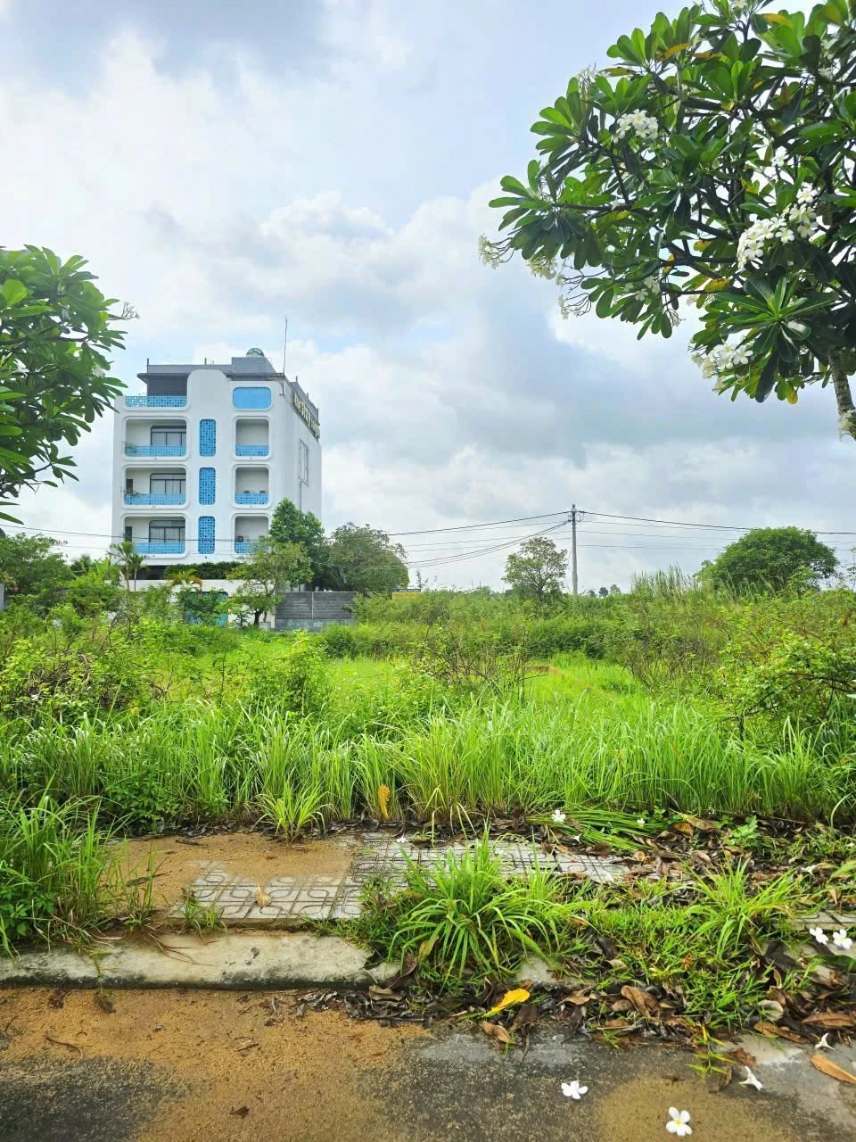 Bán đất nền Đường Long Thuận Quận 9, 70m², 3.45 tỷ - Ảnh 1