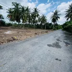 Bán đất vườn 2.924m² 2 mặt tiền Đồng Tháp - Ảnh thu nhỏ 4