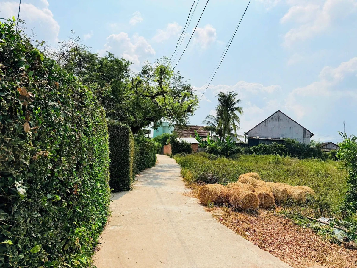 Bán đất 100m² Nhà Bè giá 3 tỷ - Ảnh thu nhỏ 2