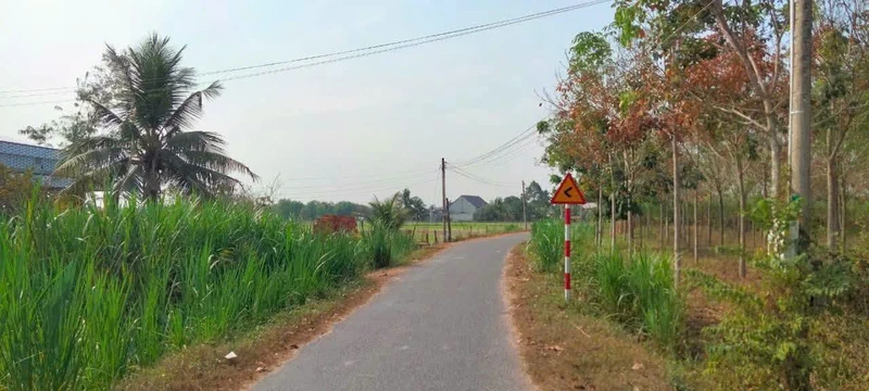 Bán đất 590m² đường nhựa Xã Phước Thạnh, Tây Ninh 1,05 tỷ