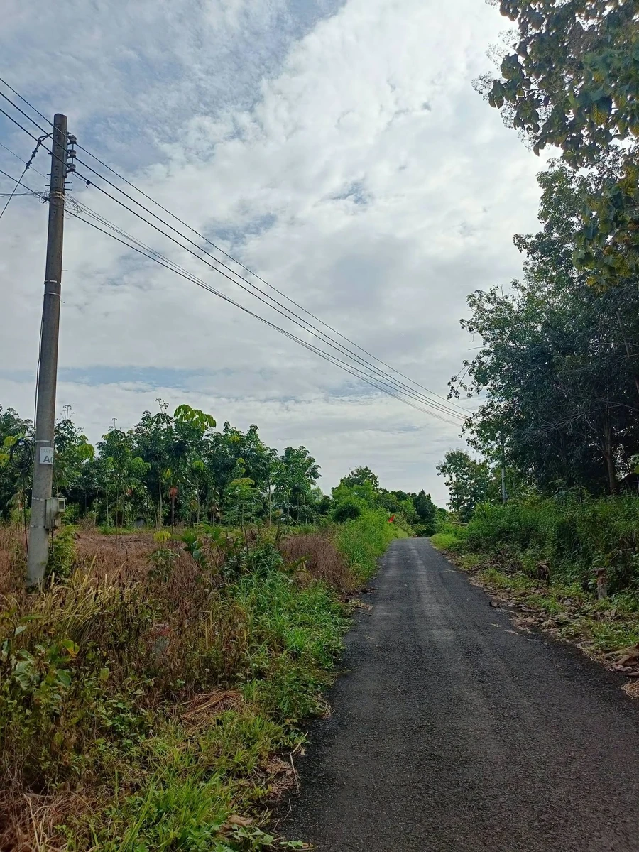 Bán đất 1000m² Bù Đốp, Bình Phước 220 triệu - Ảnh thu nhỏ 3