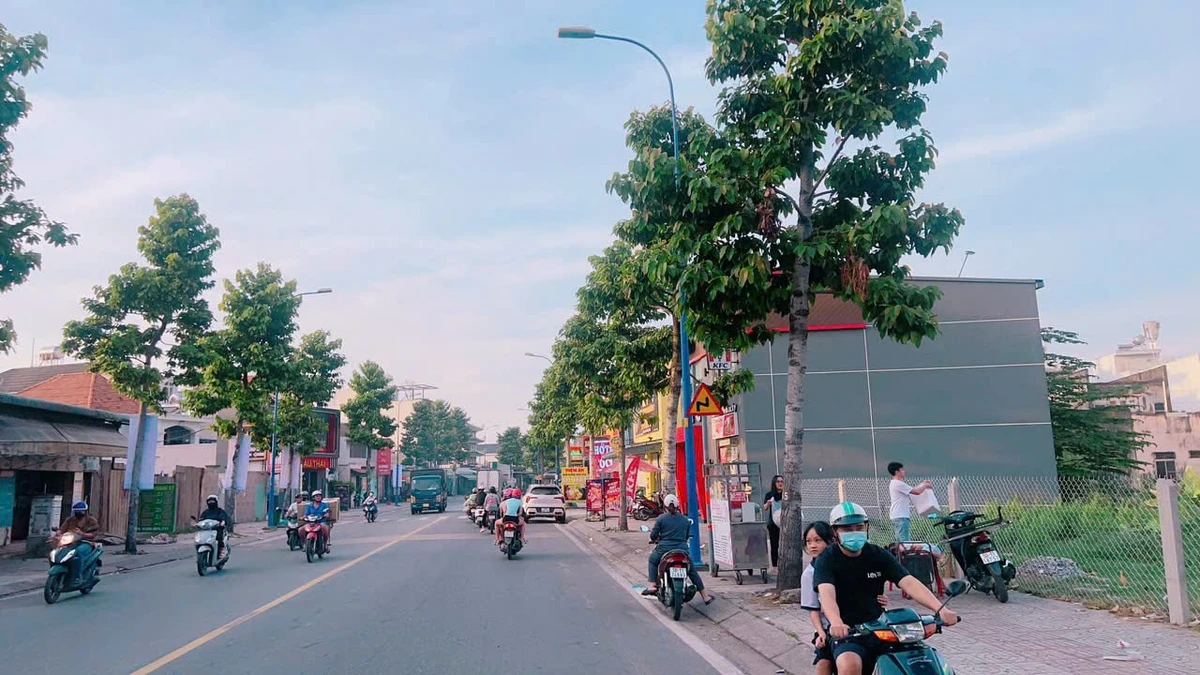 Đất 2 mặt tiền Hóc Môn 1.933m² giá 128 tỷ - Ảnh thu nhỏ 2