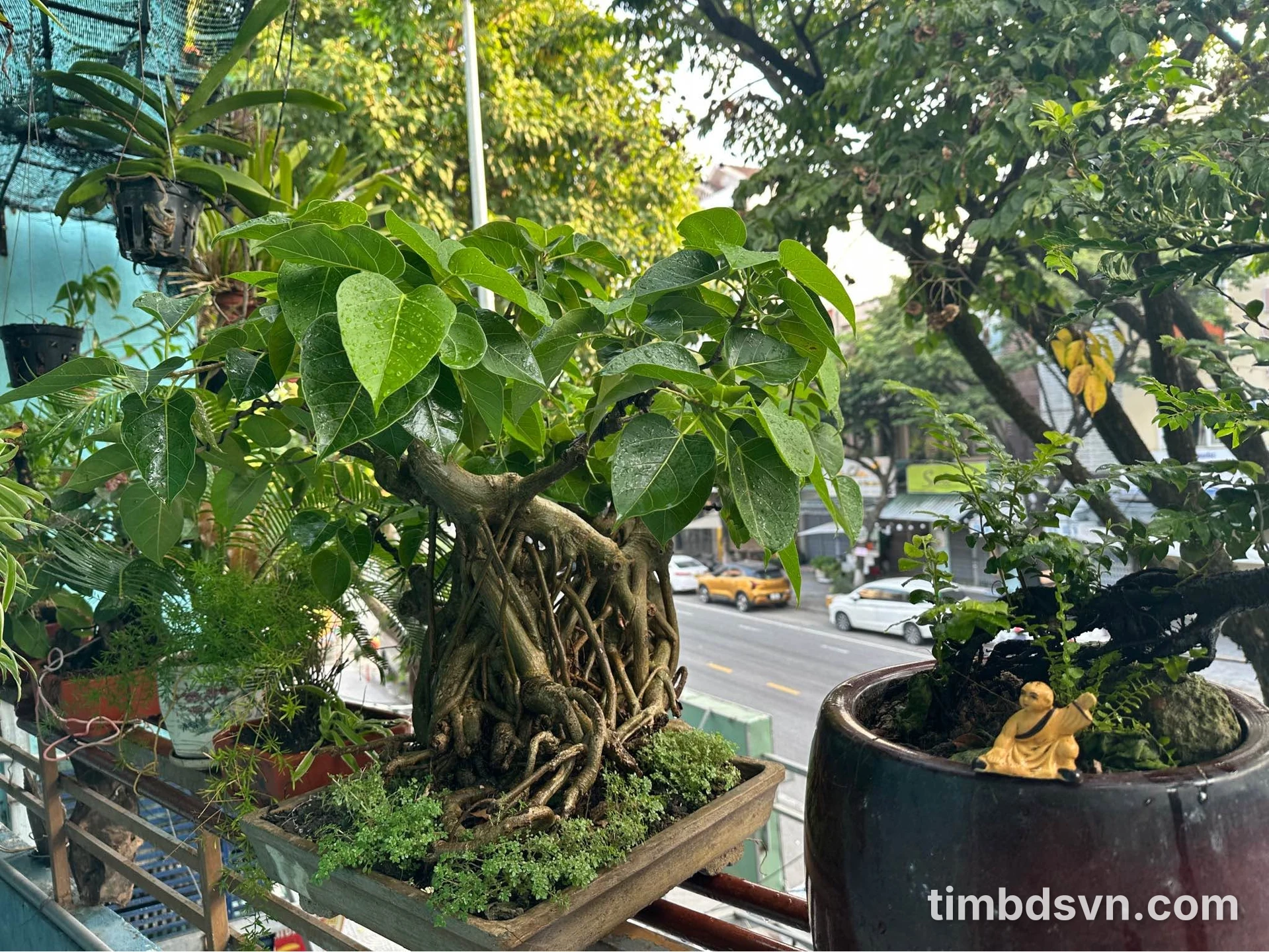 Bán đất 346m² mặt tiền Nguyễn Tri Phương, Hải Châu, Đà Nẵng - Ảnh 1