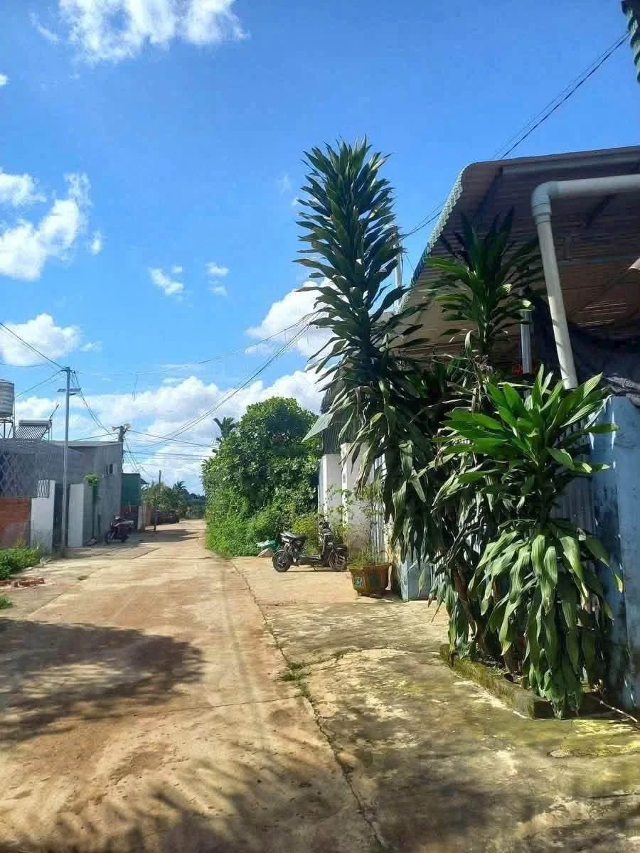 Bán lô đất 6x30m (180m²) 1 tỷ 850 triệu - Ảnh 1