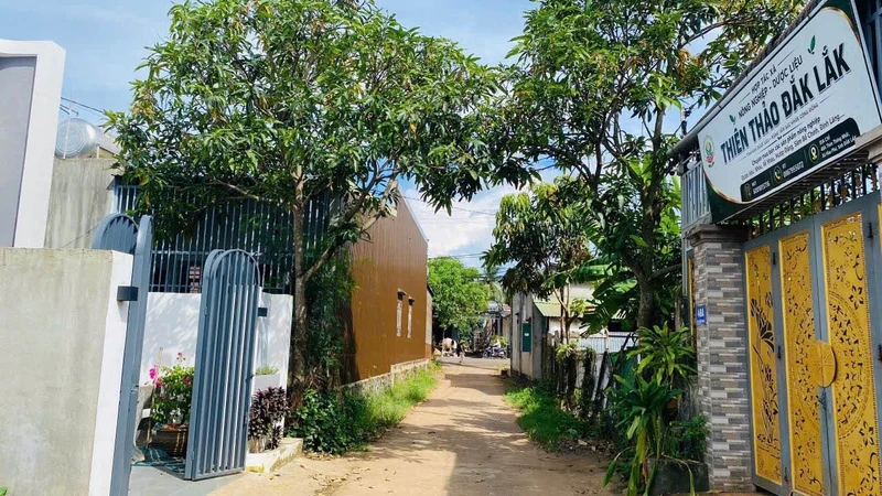 Bán đất hẻm Tỉnh lộ 2 Hòa Khánh, 252m², 950 triệu