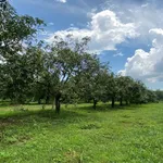 Bán đất vườn xoài 2.385m² La Ngà Đồng Nai - Ảnh thu nhỏ 1