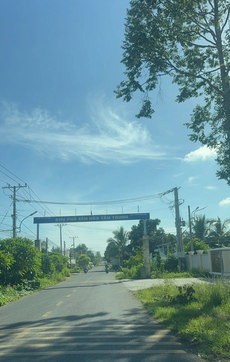 Bán đất mặt tiền đường 12A Tây Ninh 100m2, 2.5 tỷ - Ảnh thu nhỏ 4