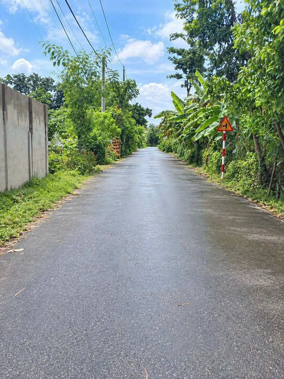 Bán đất Đá Bạc Nghĩa Thành 1 sào 3, 19m mặt tiền 1 tỷ 350 - Ảnh 1