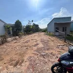 Bán đất thổ cư 195m2 mặt tiền Cần Giờ - Ảnh thu nhỏ 2