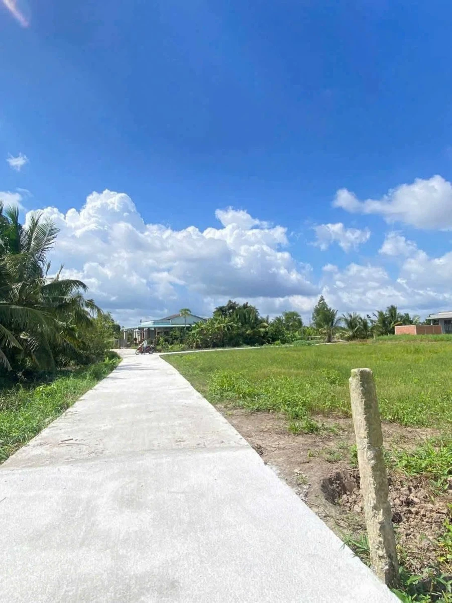 Bán đất thổ cư 115m² Hoà Phú, Long An, giá 499 triệu - Ảnh thu nhỏ 3
