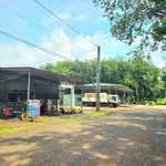 Bán vườn trái cây Tân Quan Đồng Nai 100m thổ cư dưới 200 triệu - Ảnh thu nhỏ 1