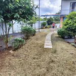 Bán nhà vườn 527m2 có nhà tiền chế gần đường 19/5, Buôn Ma Thuột, Đắk Lắk - Ảnh thu nhỏ 5