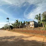 Bán 2 lô đất Cư Bao 150m² sổ riêng 385 triệu - Ảnh thu nhỏ 2