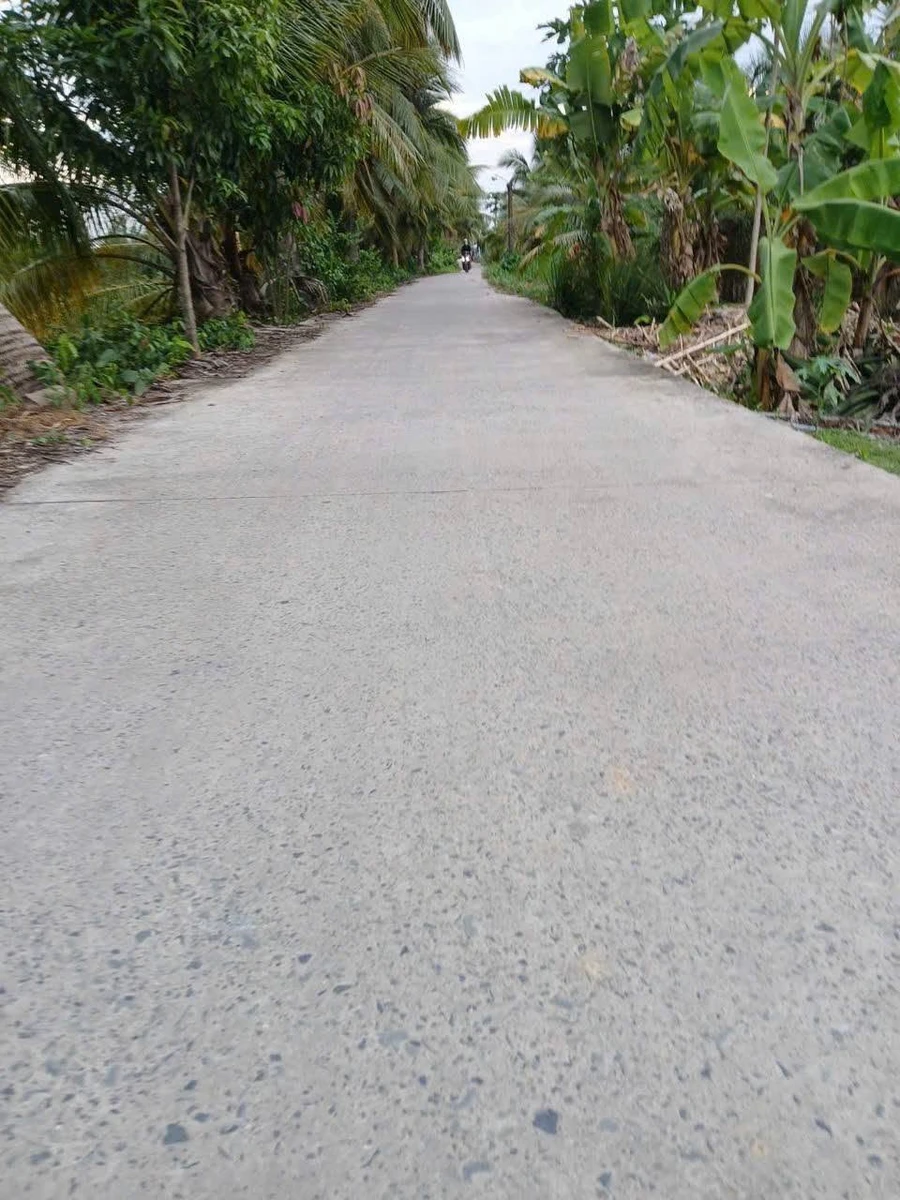 Bán nhà cấp 4 mới 113m2 thổ cư, sổ hồng, xã Lương Hòa, Bến Lức, Tây Ninh - Ảnh thu nhỏ 4