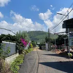 Bán đất Cần Giờ 250m² gần chợ Tân Hội 990 triệu - Ảnh thu nhỏ 1