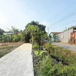 Bán đất mặt tiền Huỳnh Thị Luông Nhà Bè 112,5m² - Ảnh thu nhỏ 3