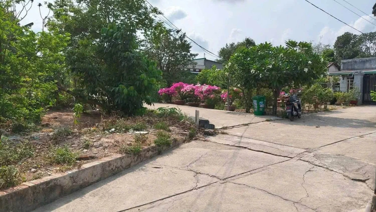 Bán đất Tân Phước Khánh 269m² giá 2 tỷ 750 triệu - Ảnh thu nhỏ 2