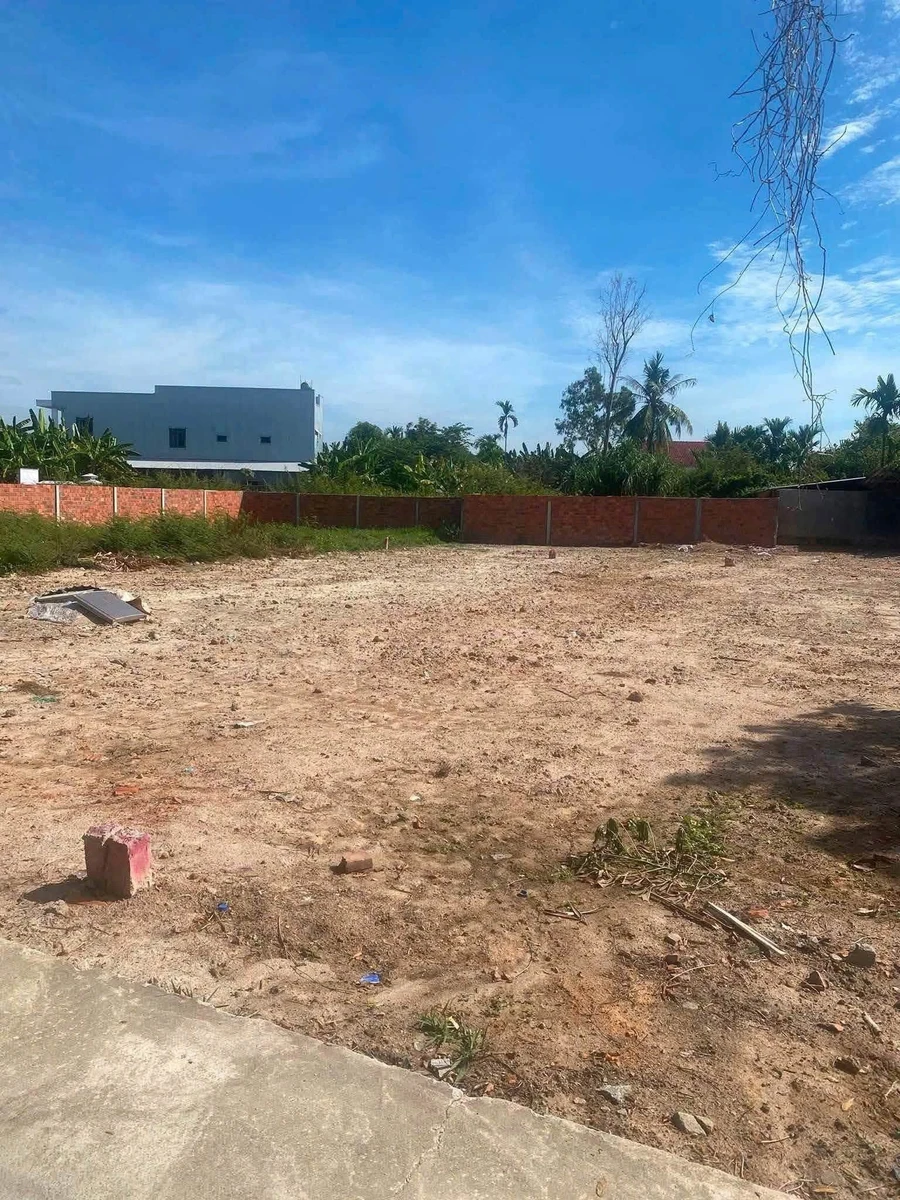 Bán đất Bình Chánh 115m² sát KDC Tây Bầu Giang 550 triệu - Ảnh thu nhỏ 2