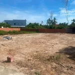 Bán đất Bình Chánh 115m² sát KDC Tây Bầu Giang 550 triệu - Ảnh thu nhỏ 2