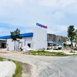 Bán lô đất 100m² thị trấn Thủ Thừa, sổ sẵn - Ảnh thu nhỏ 2