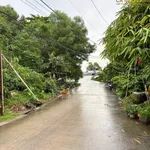 Bán nền mặt tiền Trương Phúng Xuân 94.5m² 800 triệu Cà Mau - Ảnh thu nhỏ 5