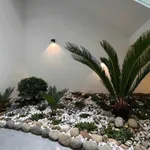 Bán nhà 1 trệt 1 lửng 6x19m full nội thất, hẻm nhựa Ywang, Buôn Ma Thuột, giá 3,25 tỷ - Ảnh thu nhỏ 5