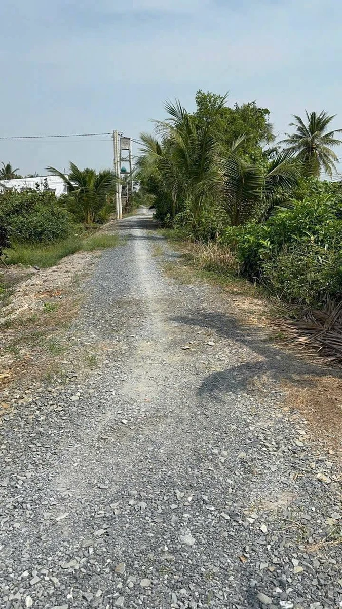 Bán đất nền 500m2 Xã Lương Hòa, Bến Lức, Long An - Ảnh thu nhỏ 5
